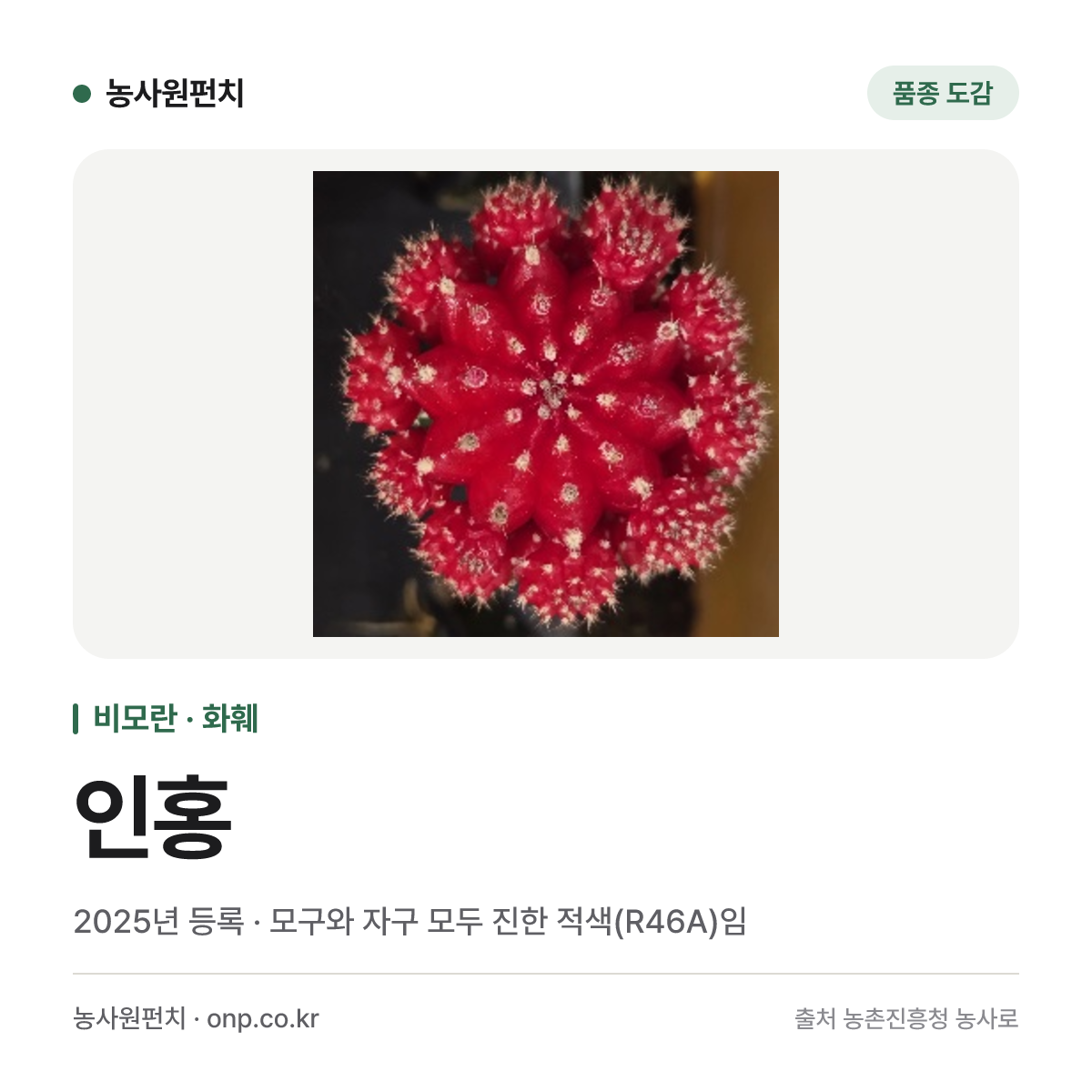 인홍