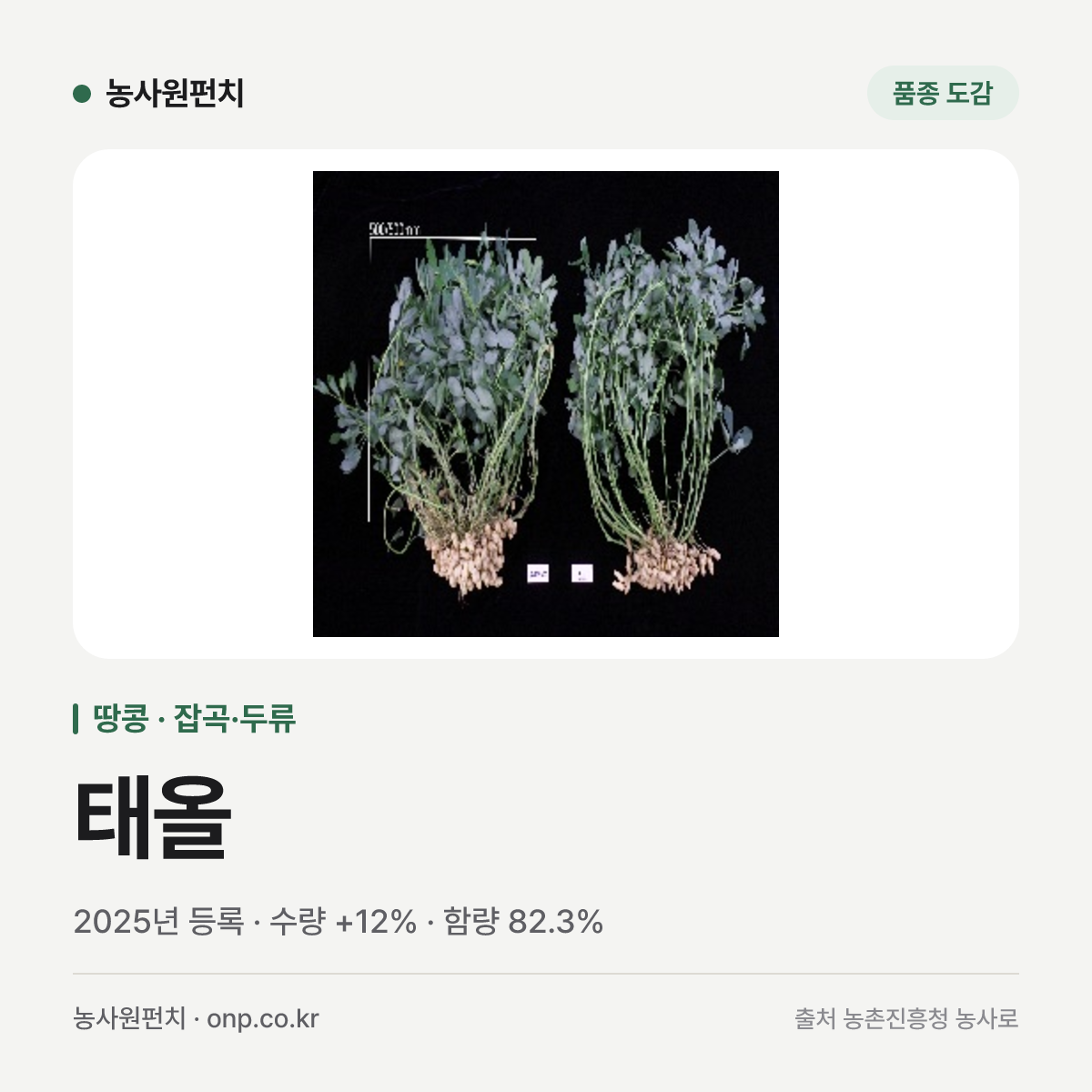 태올