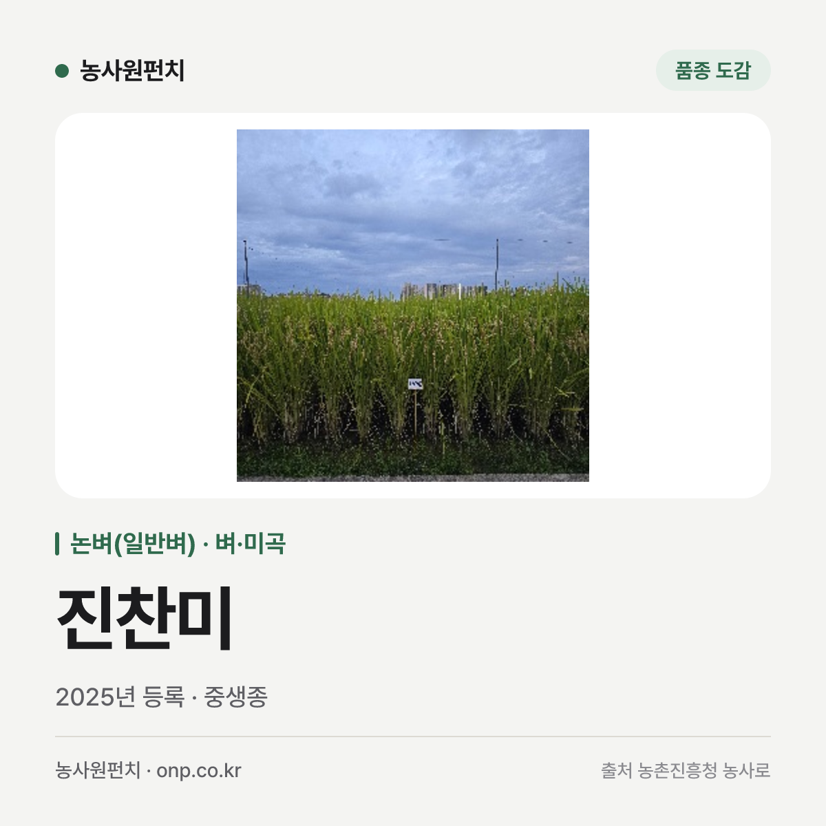 진찬미