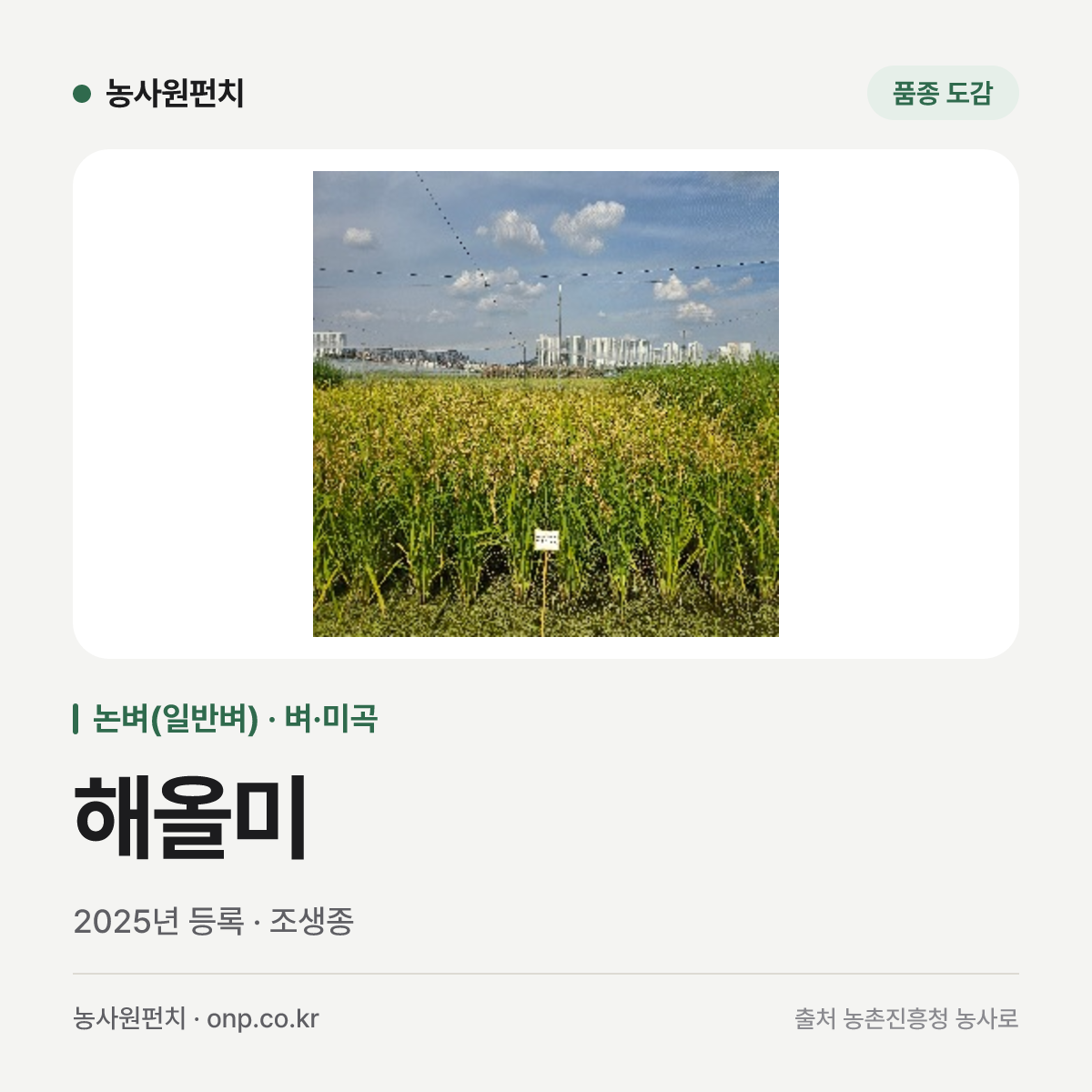 해올미