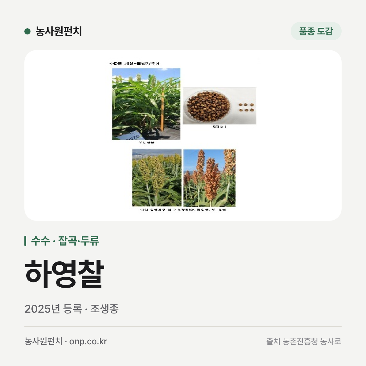 하영찰