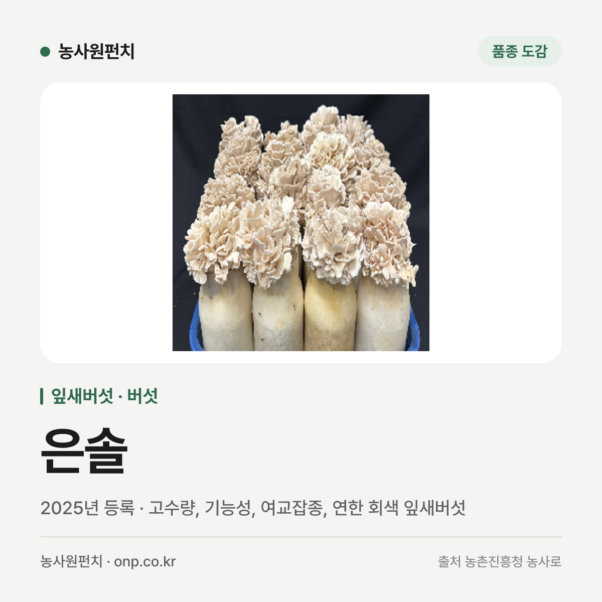 은솔