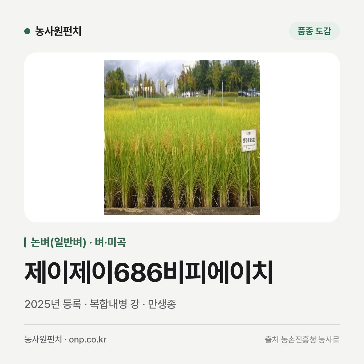 제이제이686비피에이치