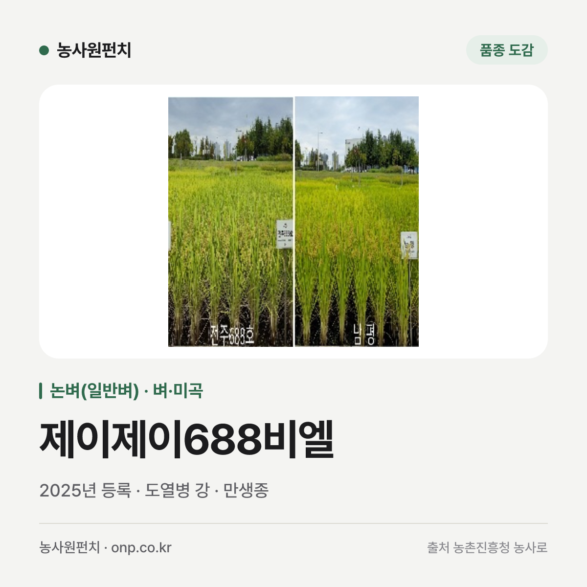 제이제이688비엘