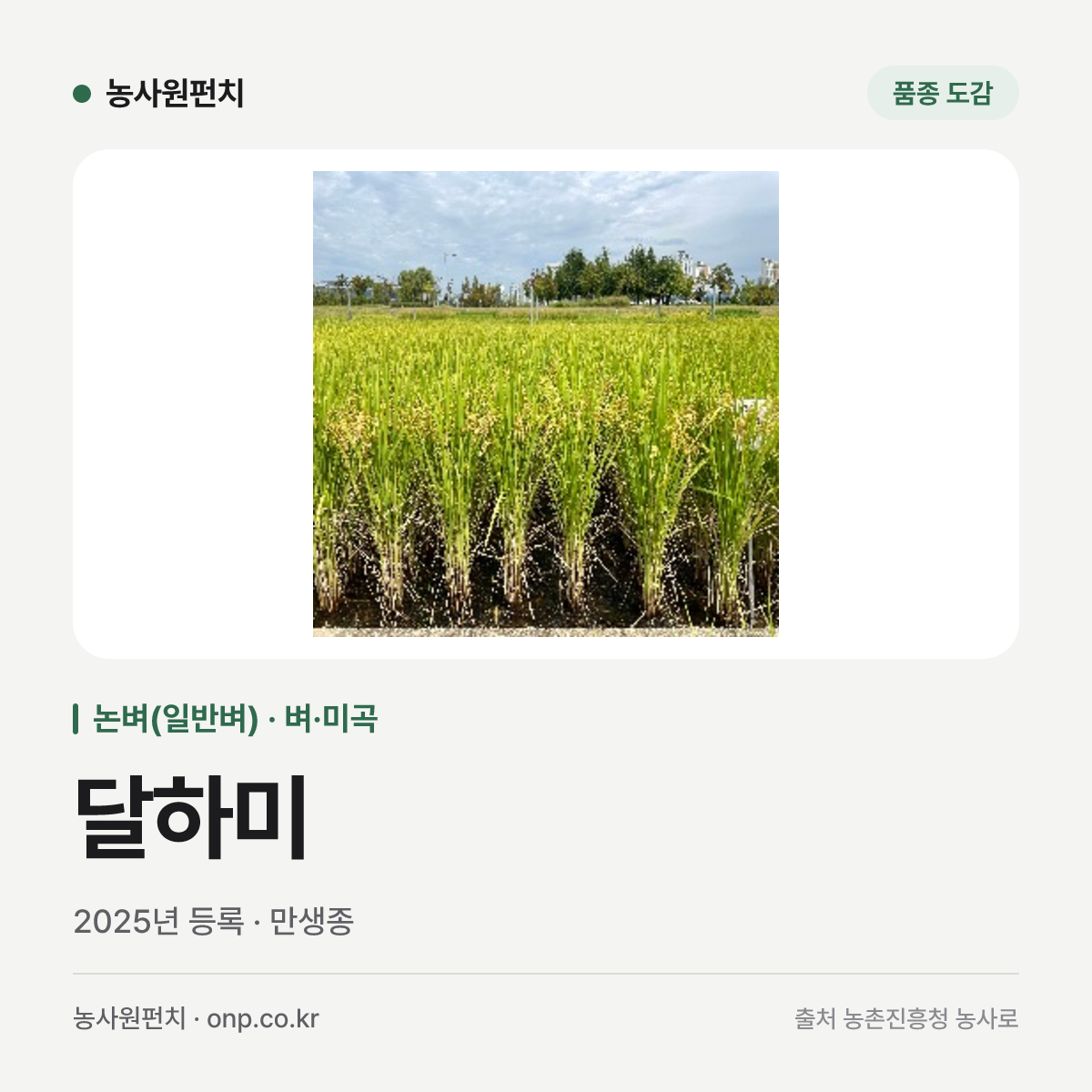 달하미