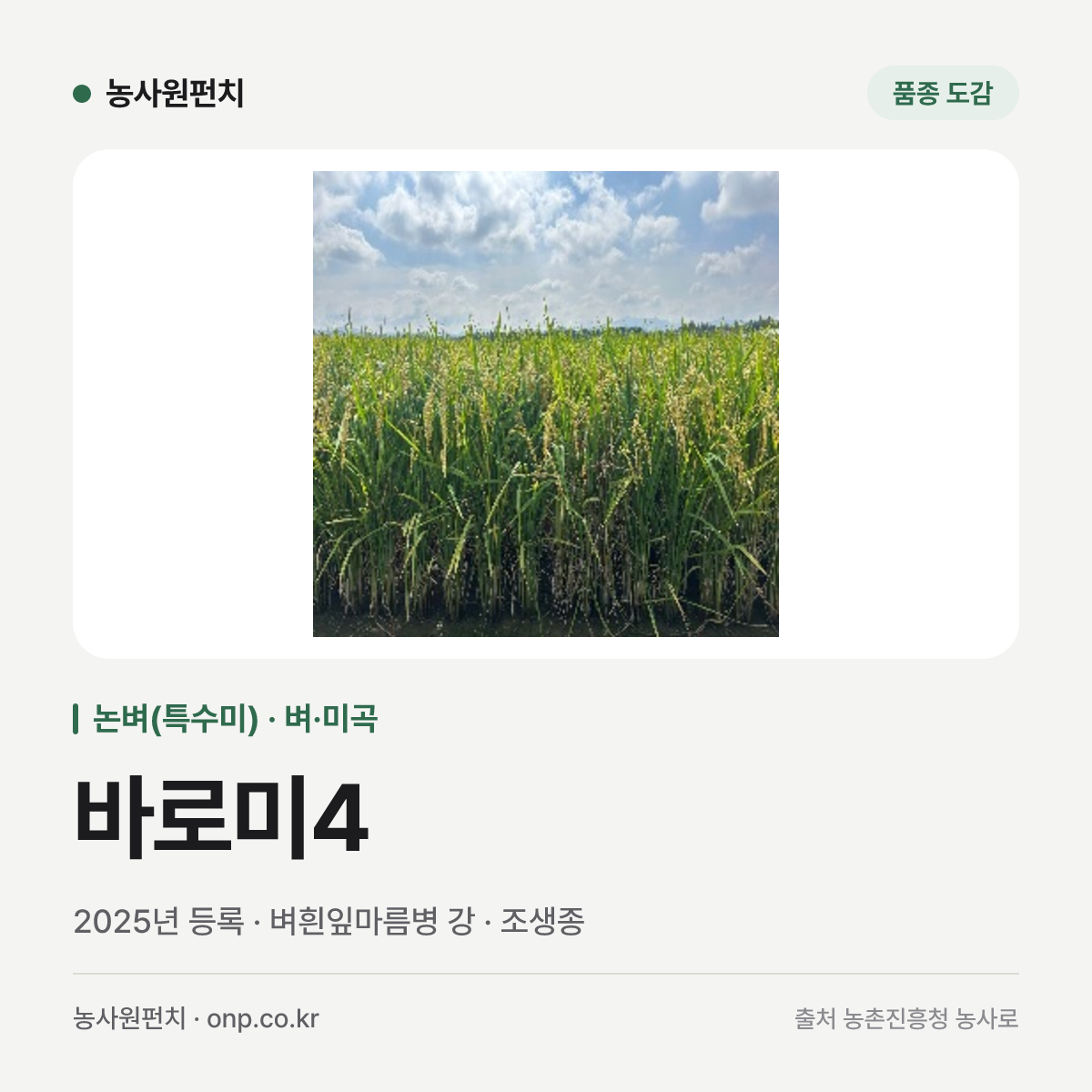 바로미4