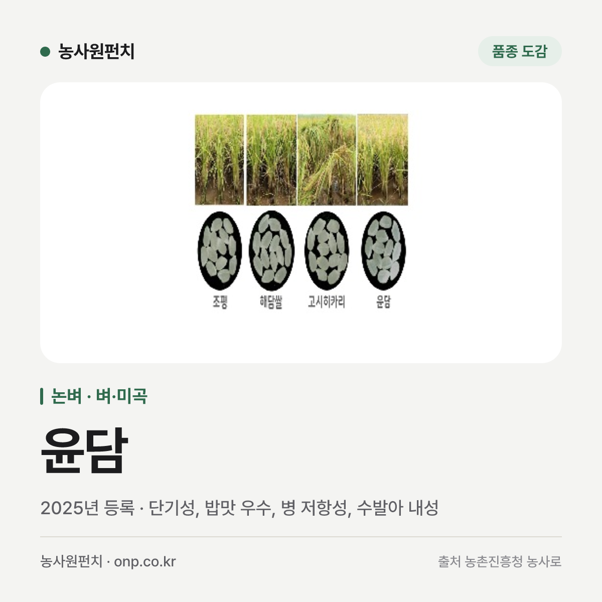 윤담