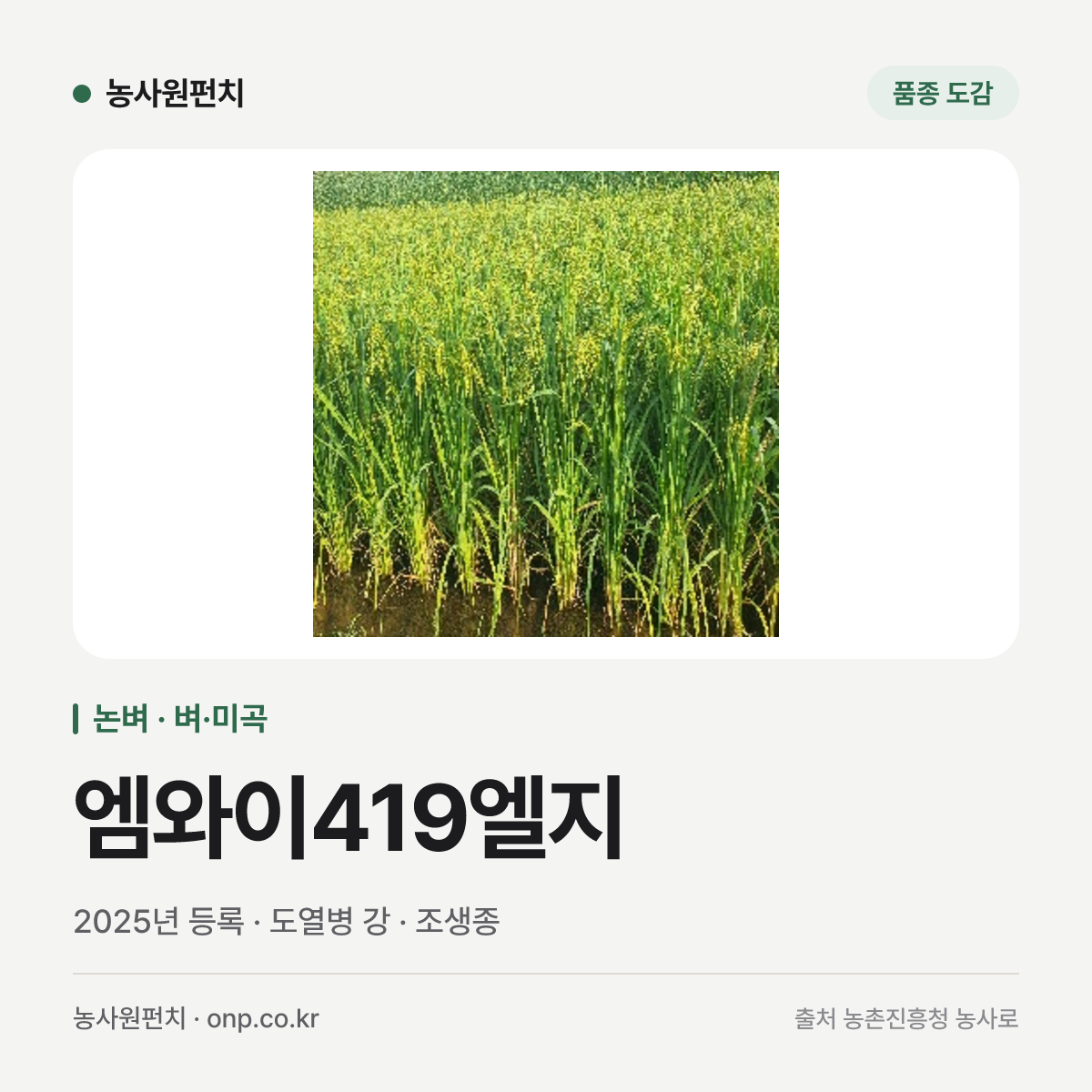 엠와이419엘지