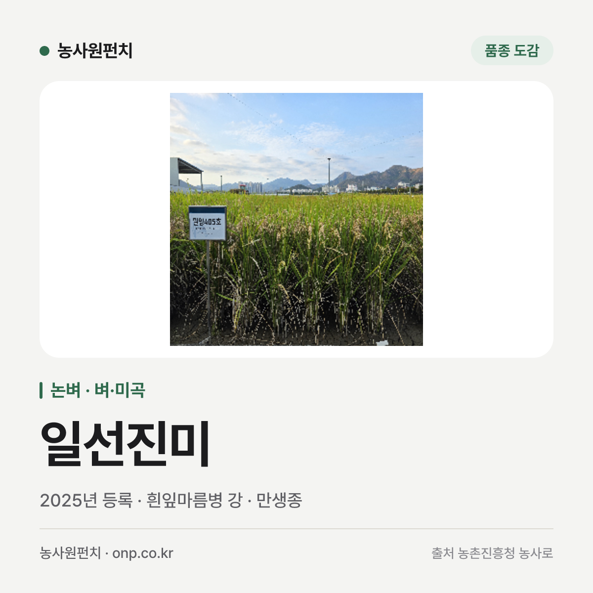 일선진미