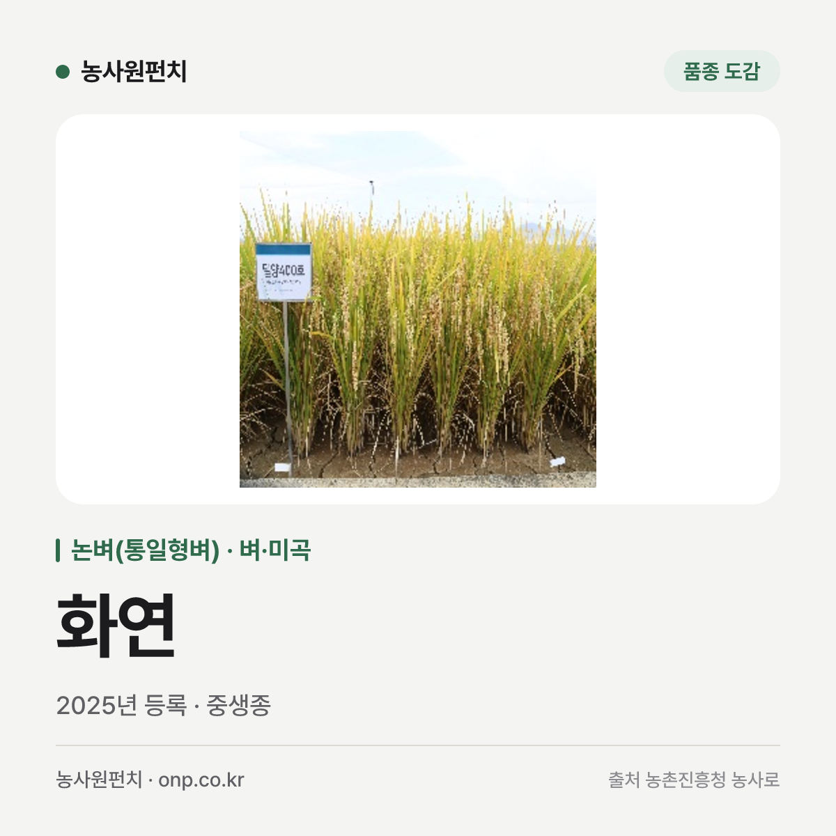 화연