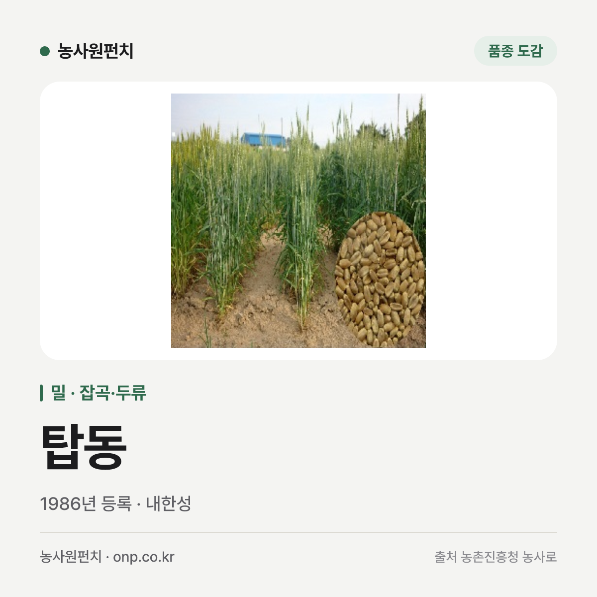탑동