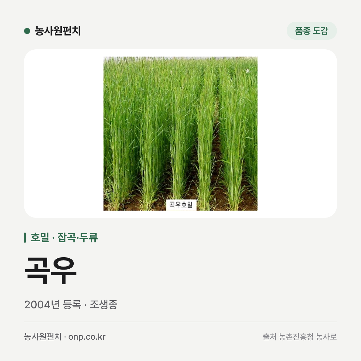 곡우