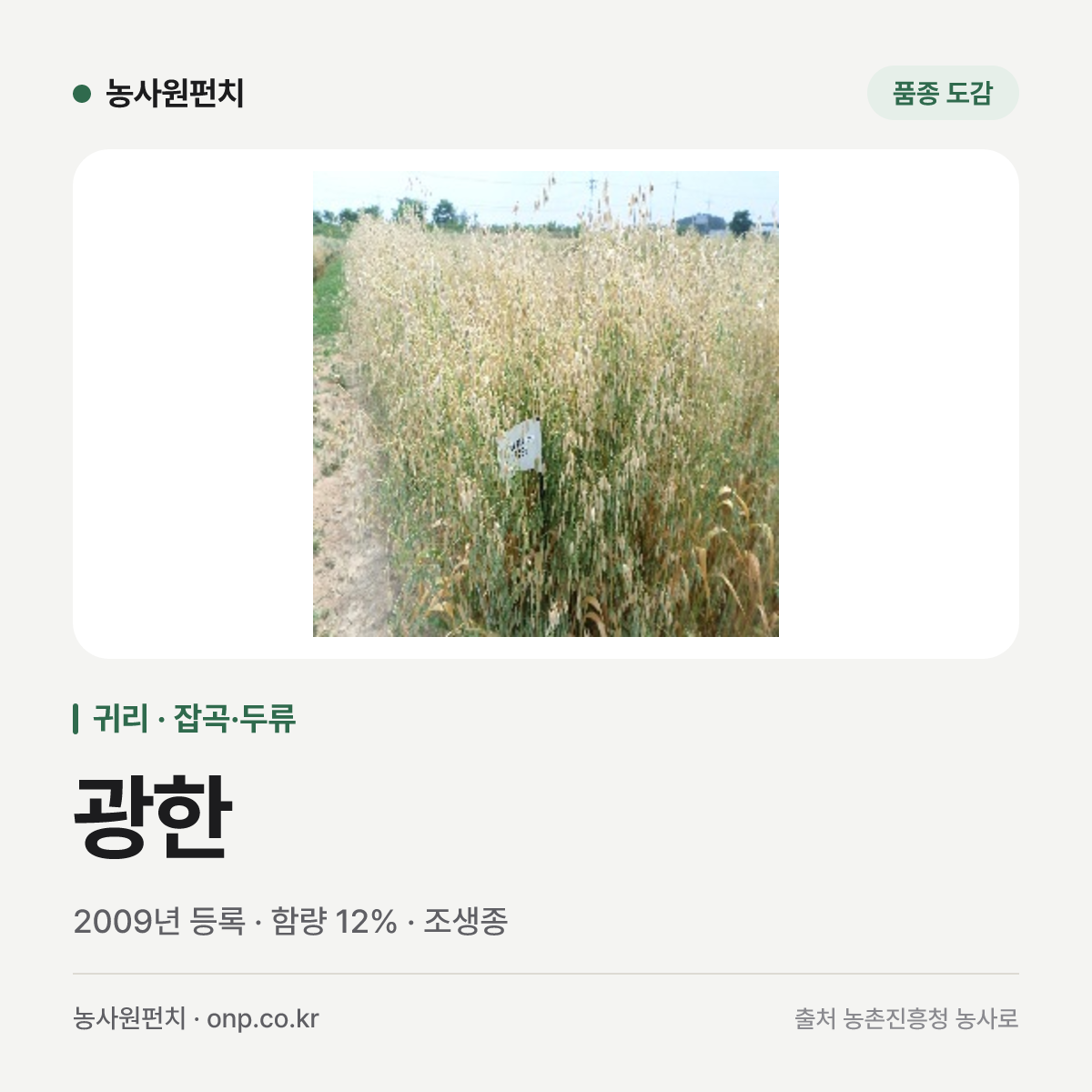 광한