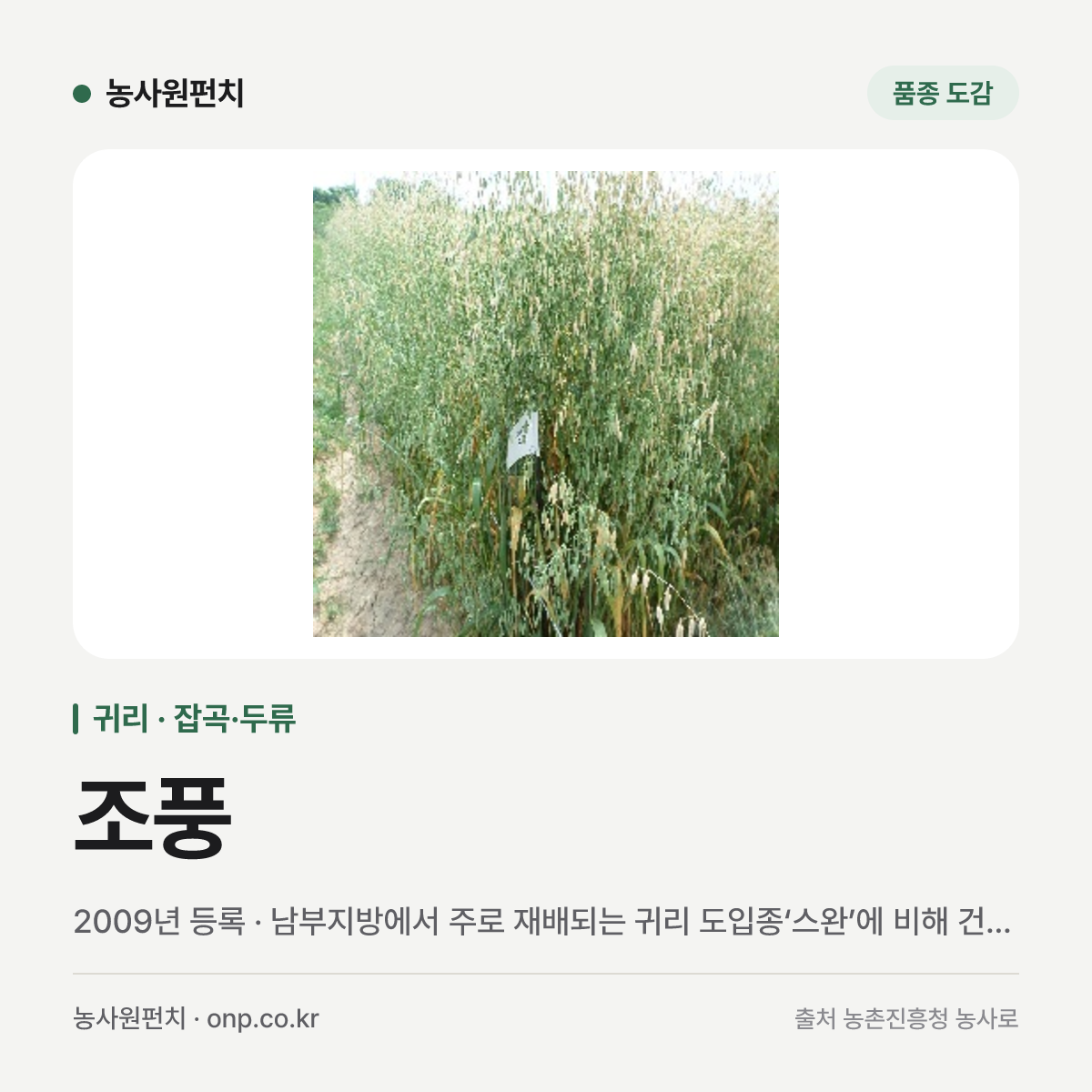 조풍