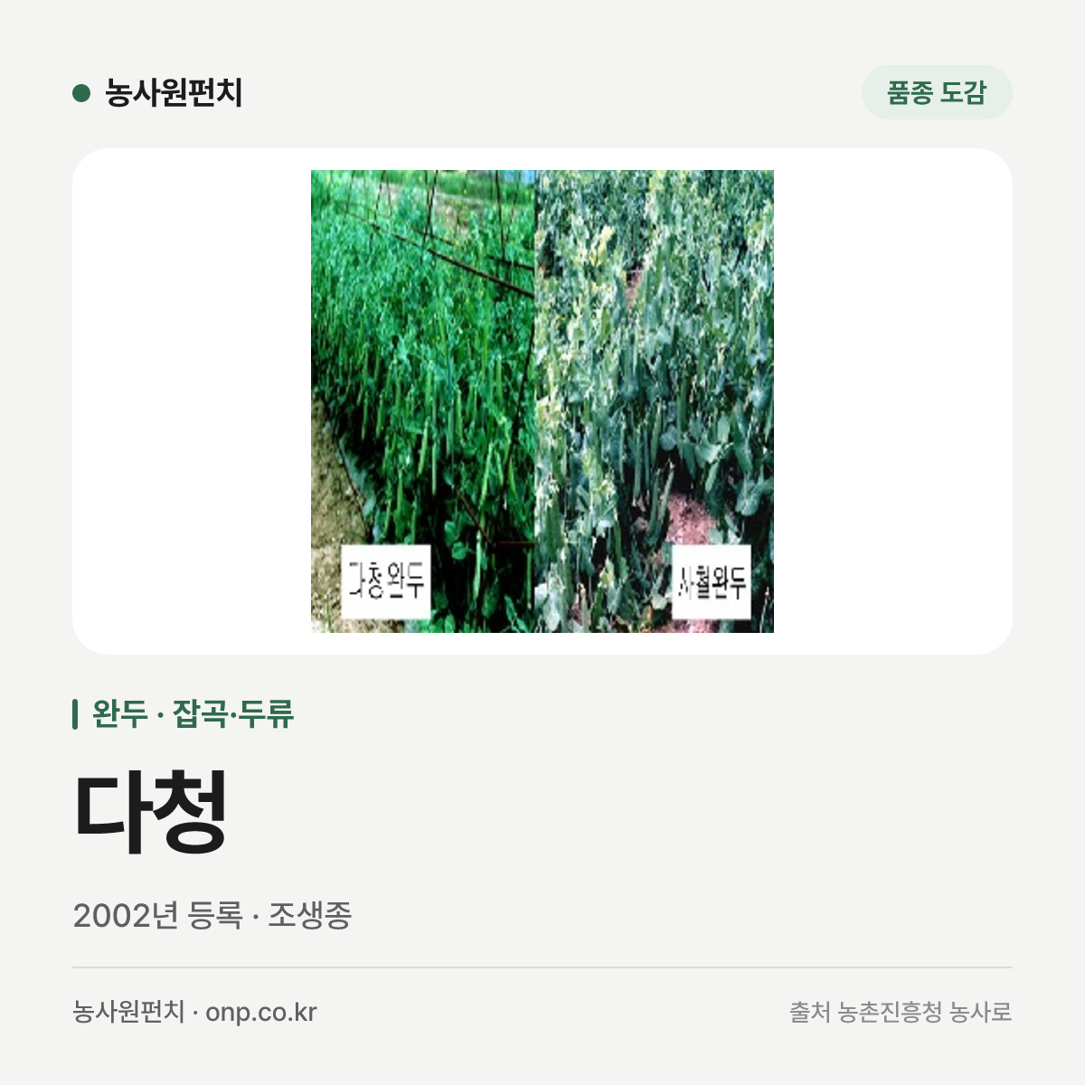 다청
