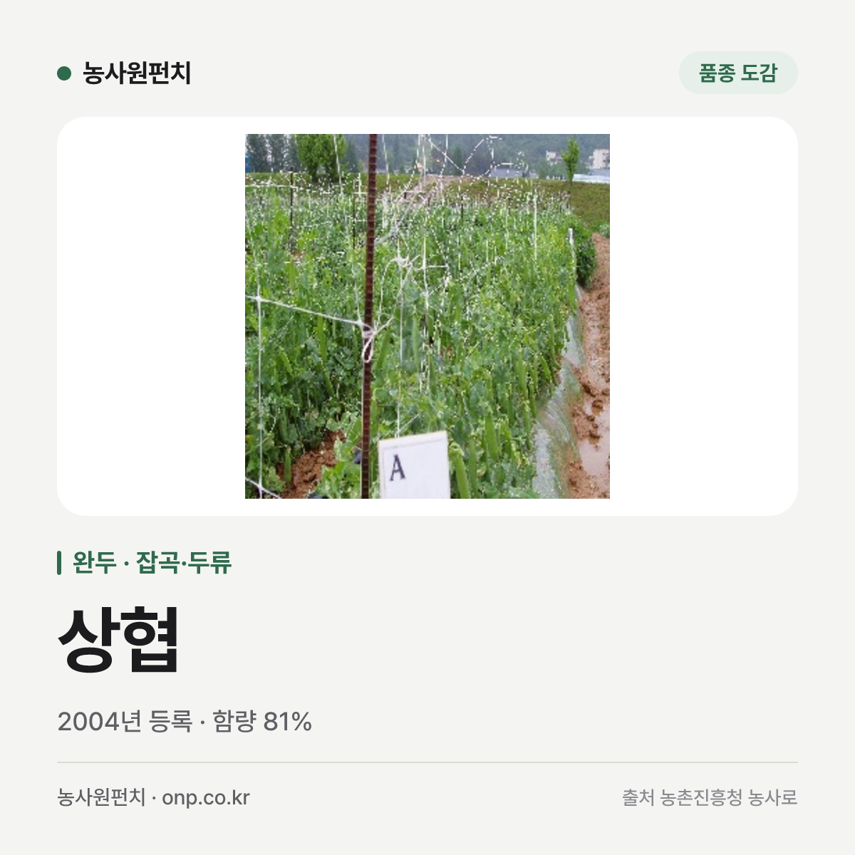 상협
