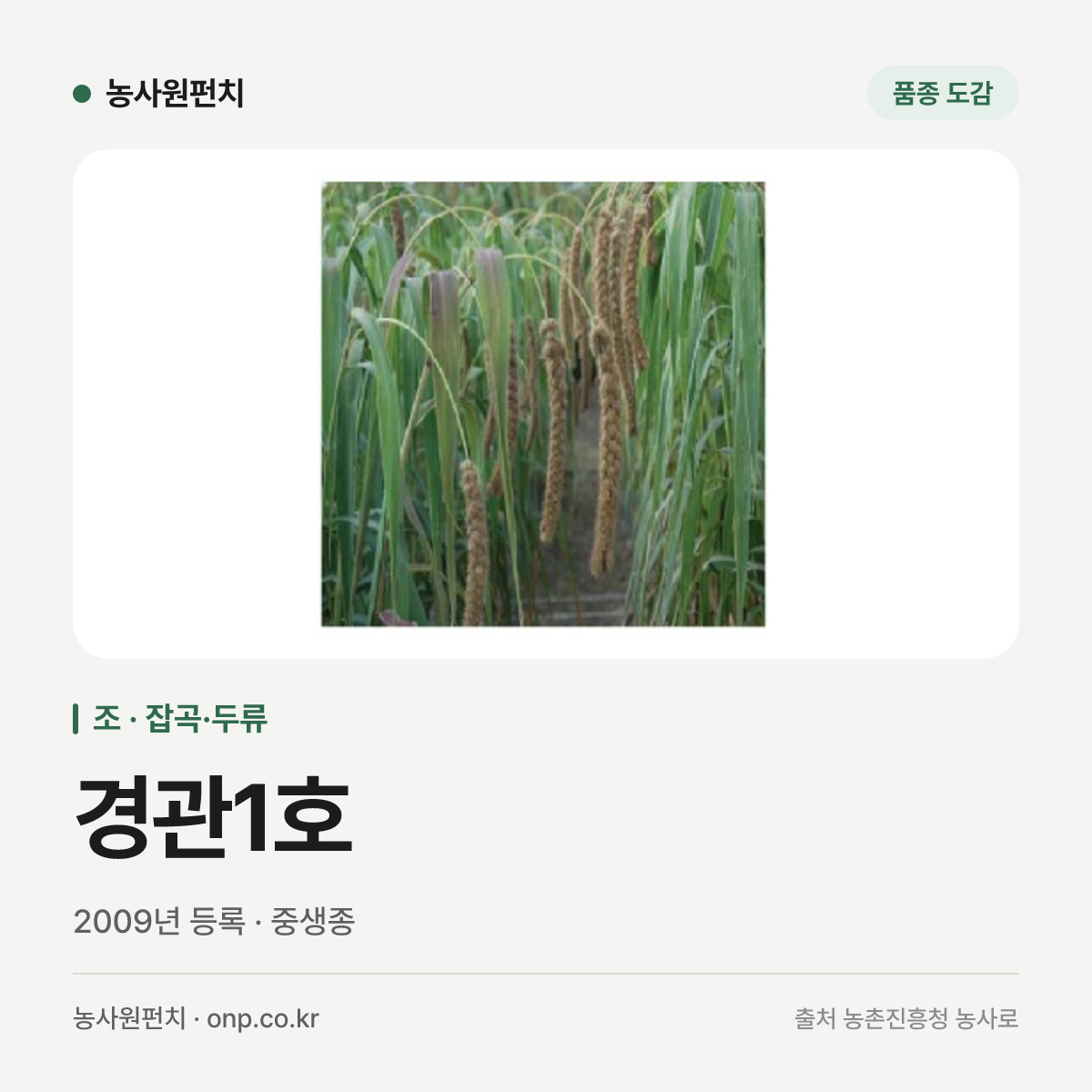 경관1호