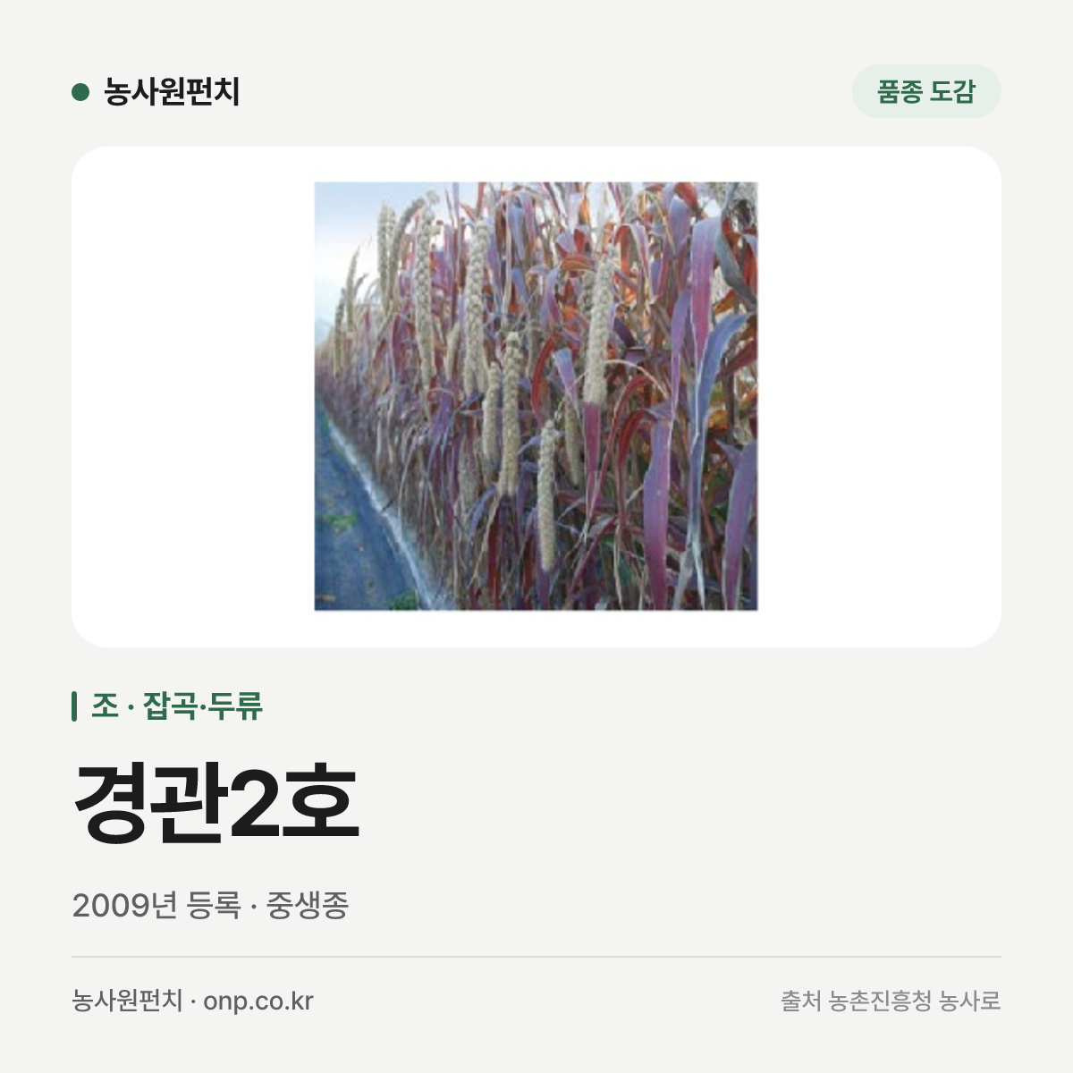 경관2호