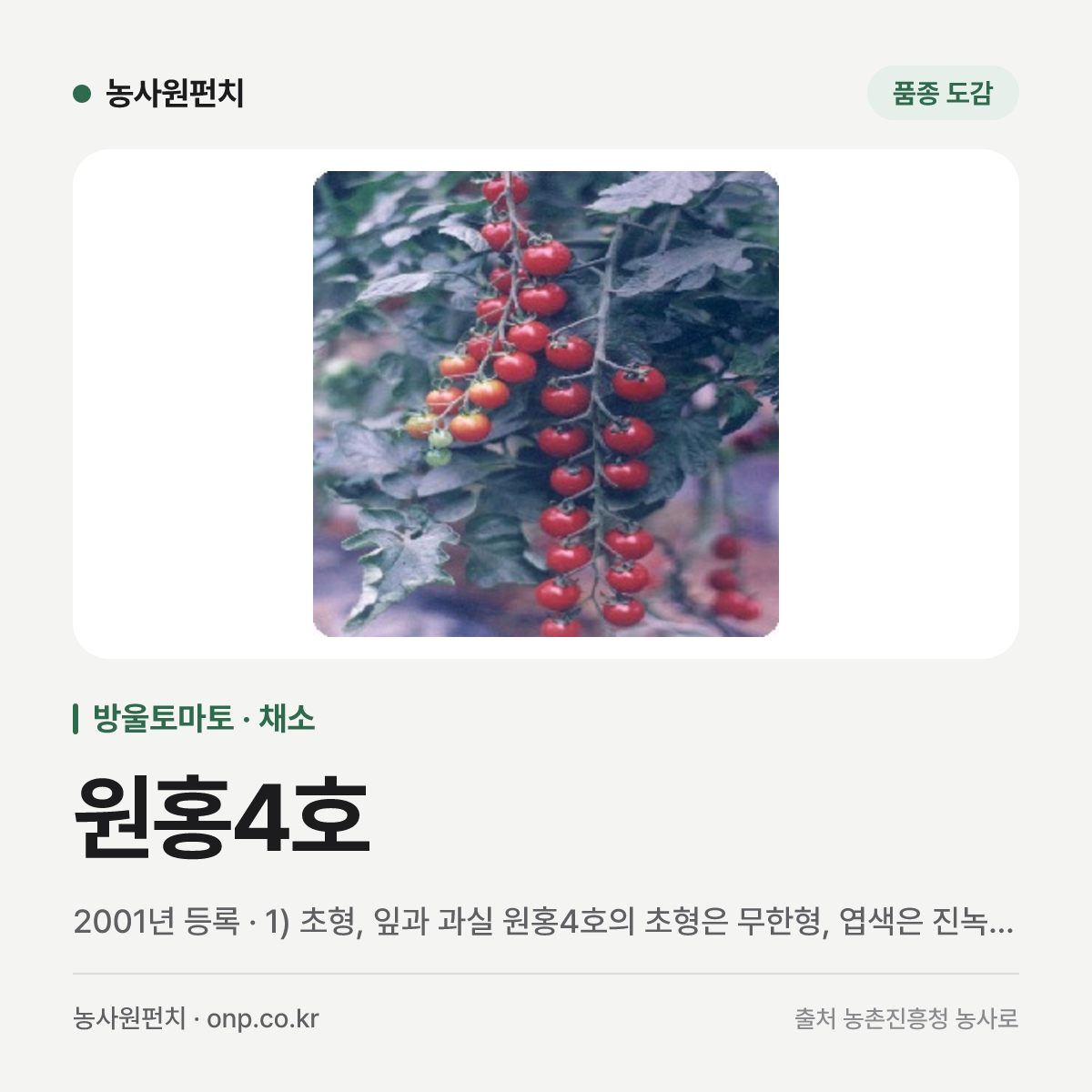 원홍4호