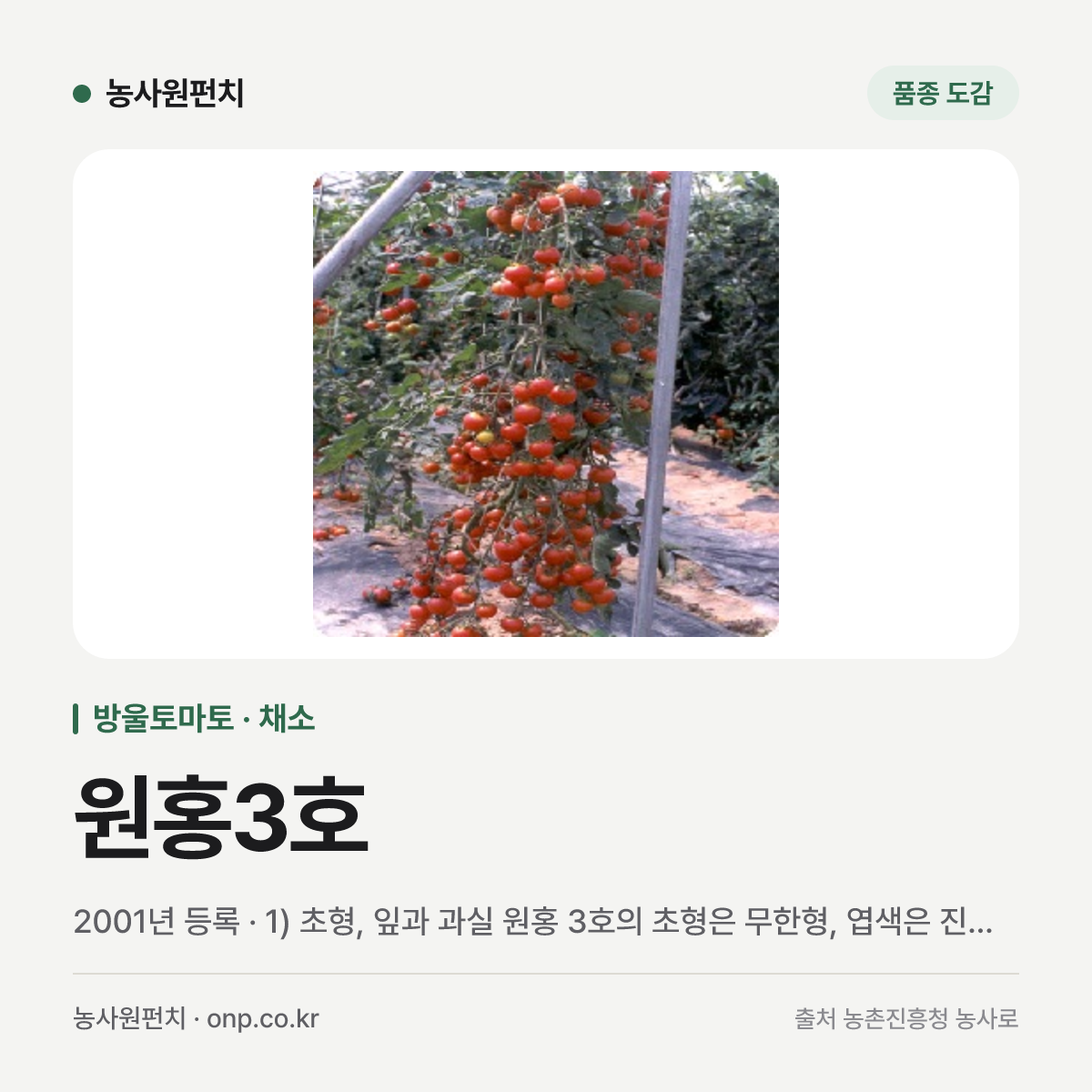 원홍3호