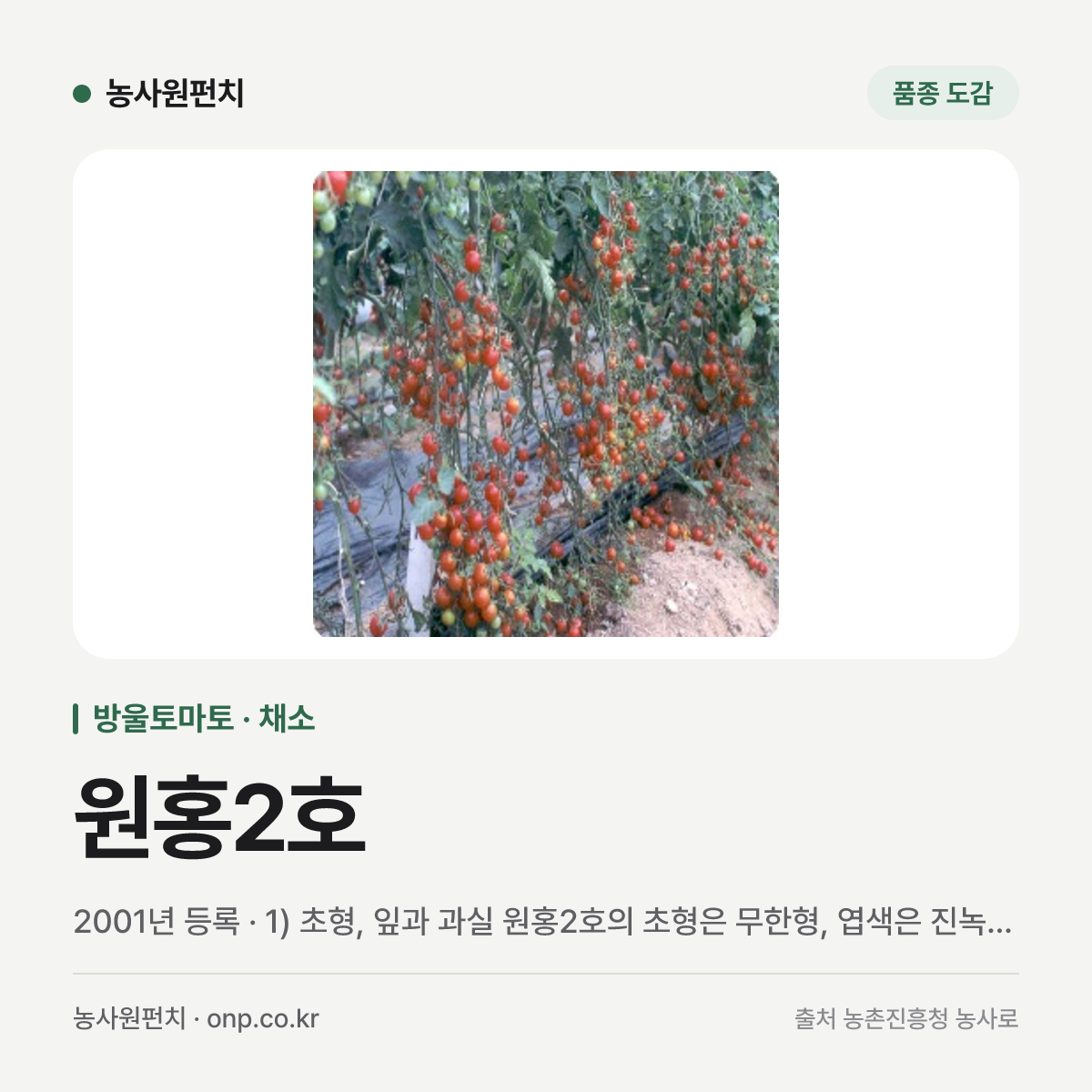 원홍2호