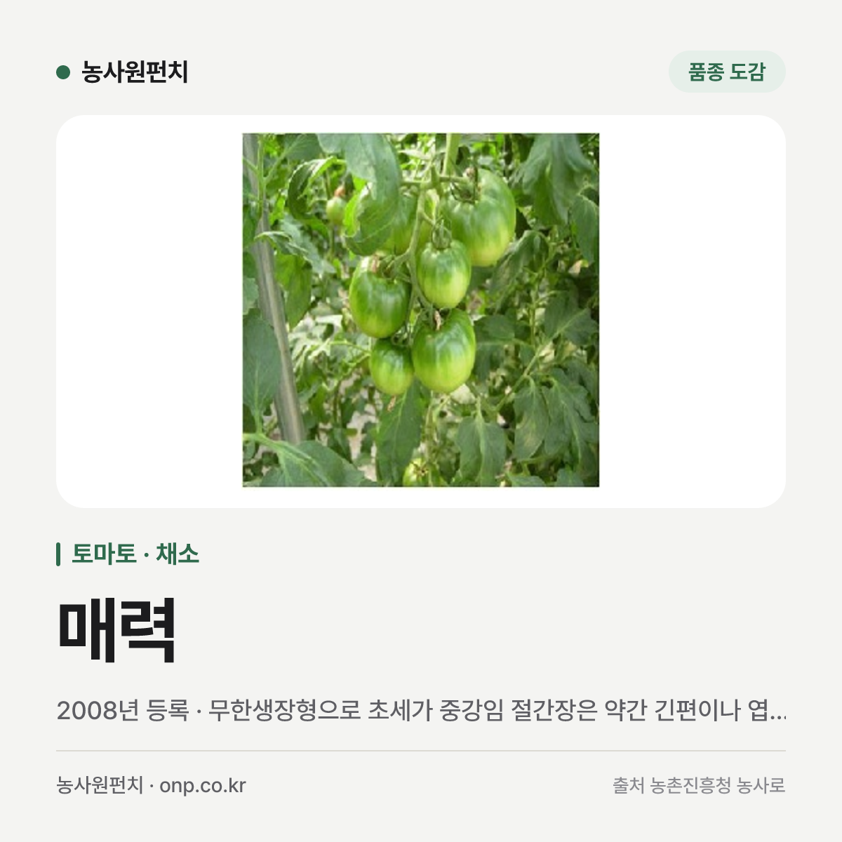 매력