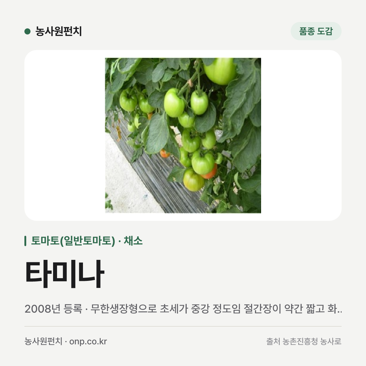 타미나