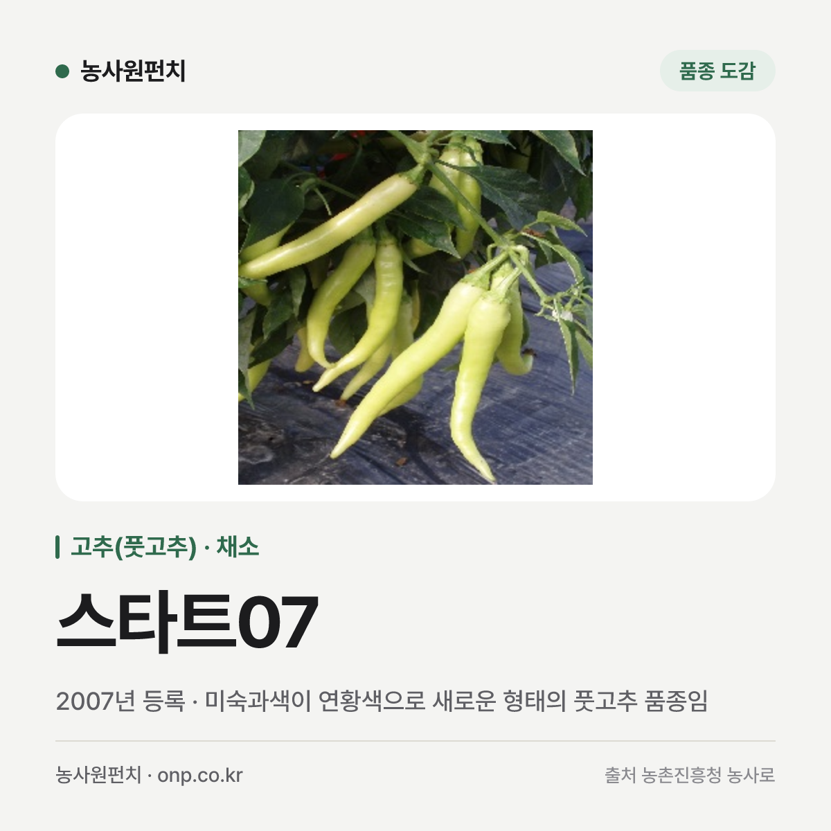 스타트07