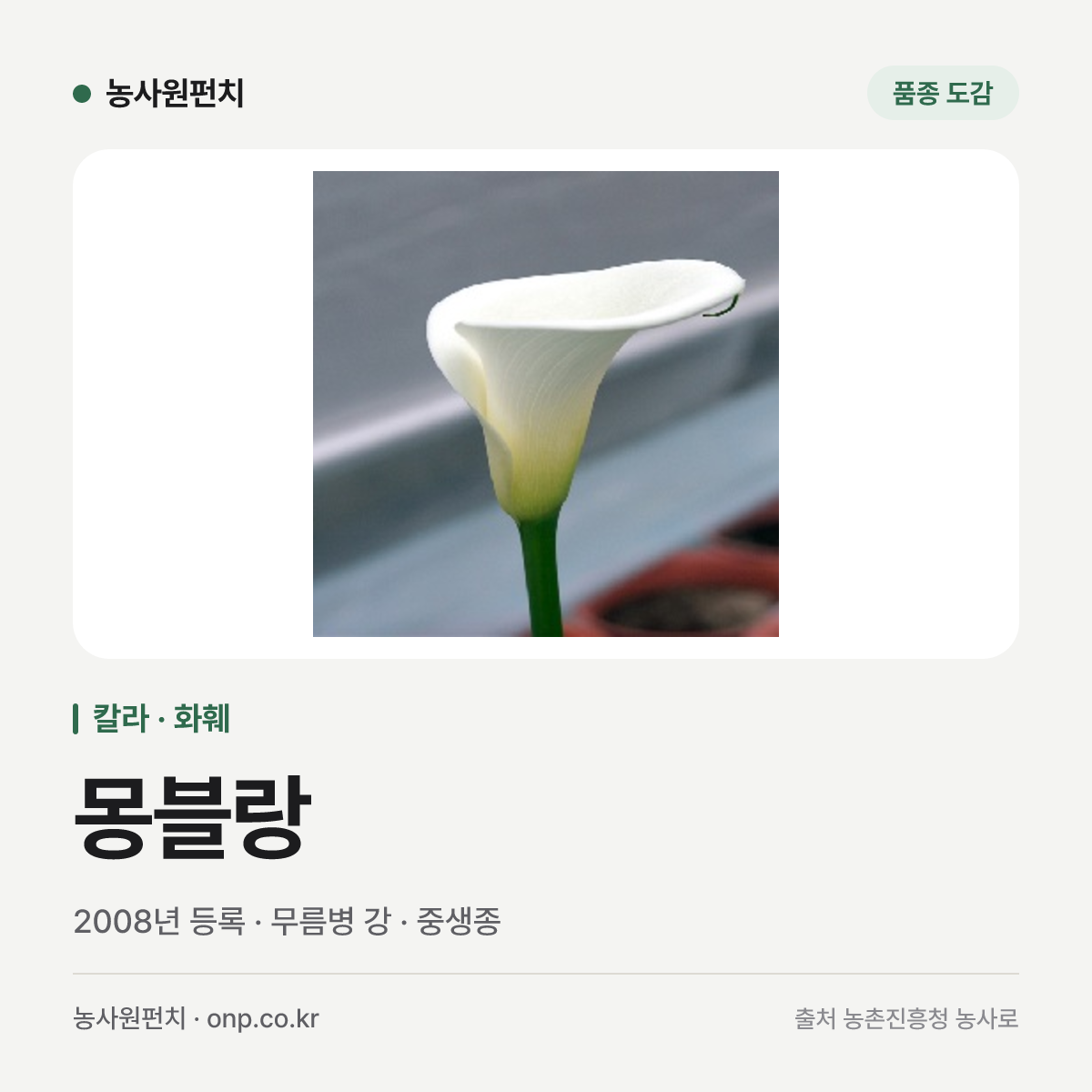 몽블랑