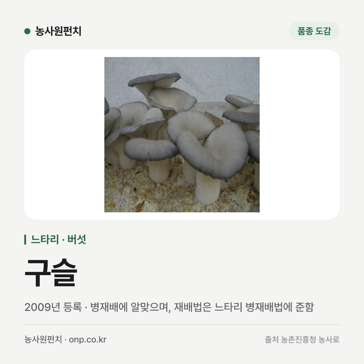 구슬