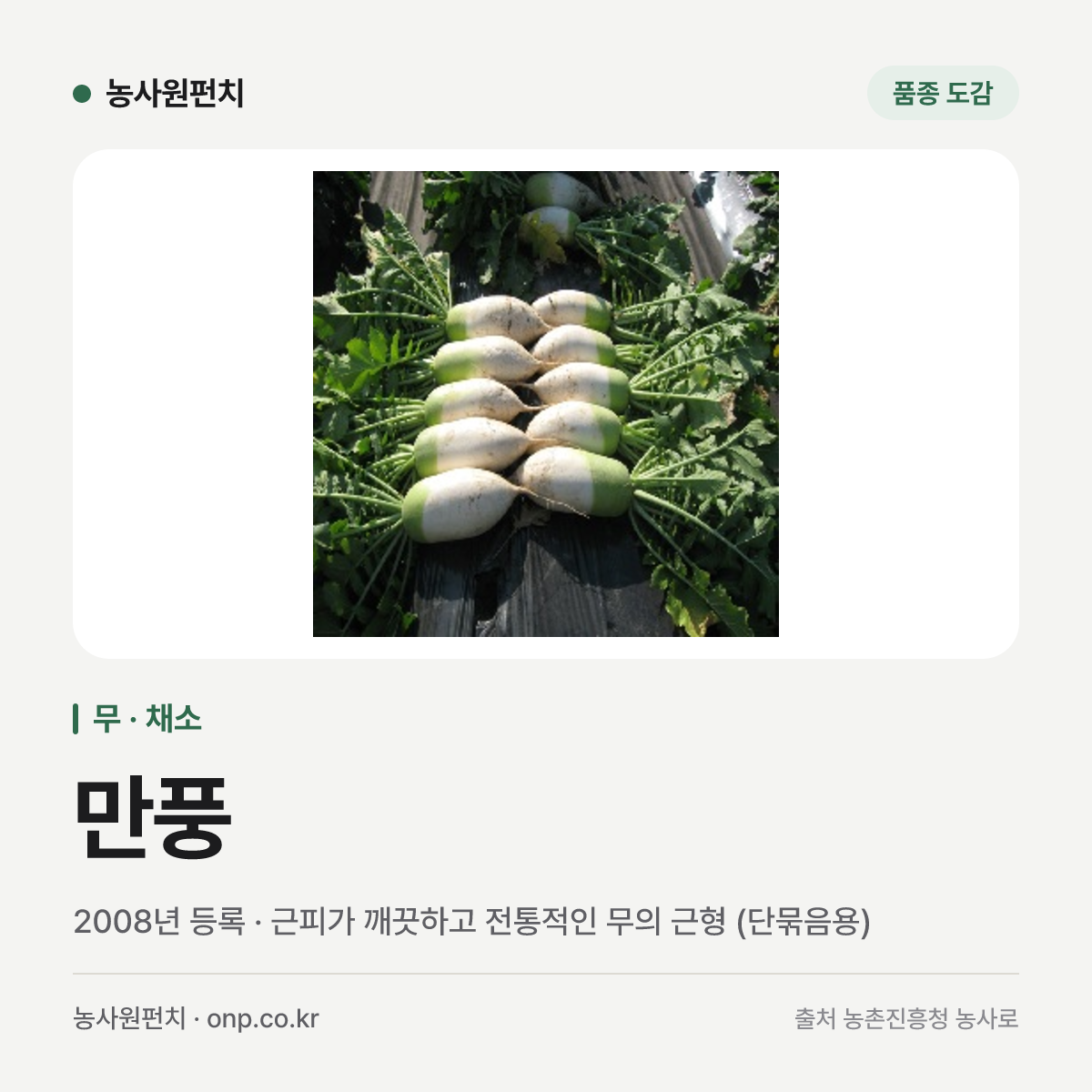 만풍