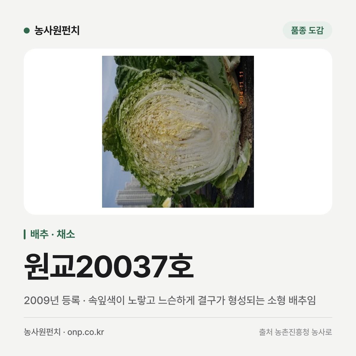 원교20037호