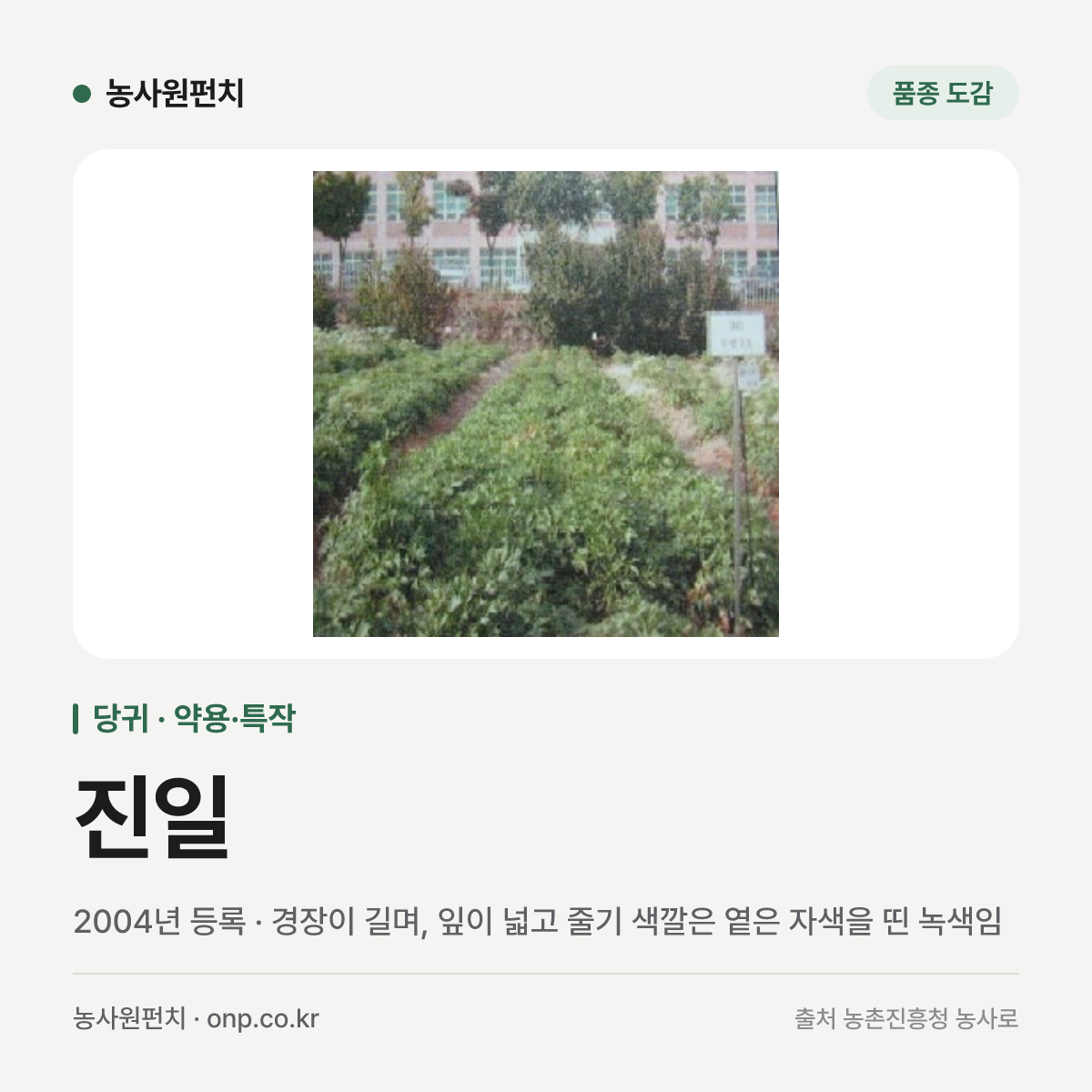 진일