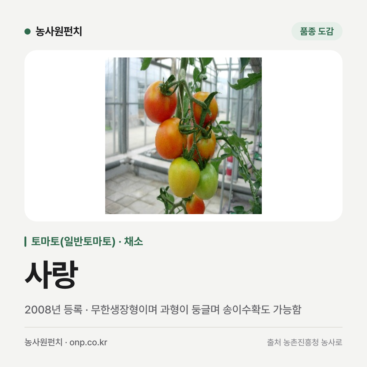 사랑