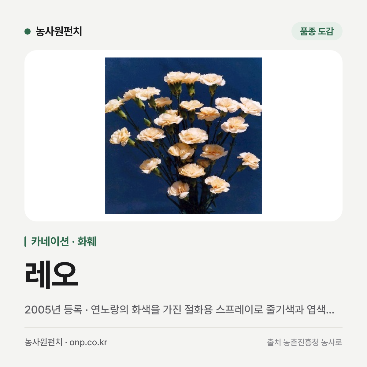 레오