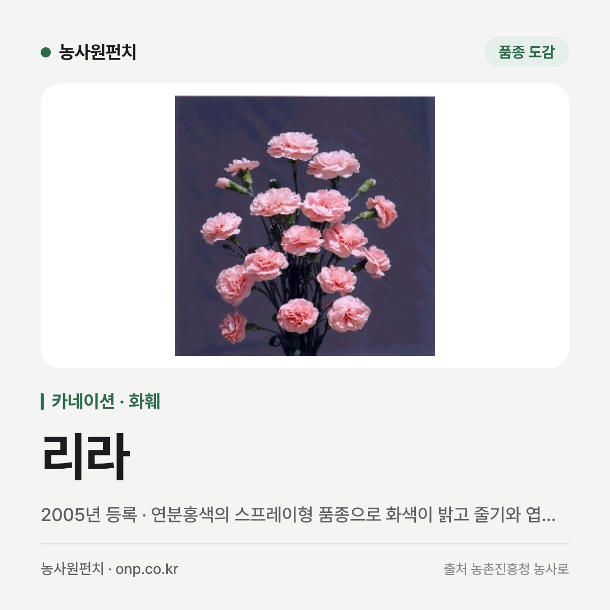 리라