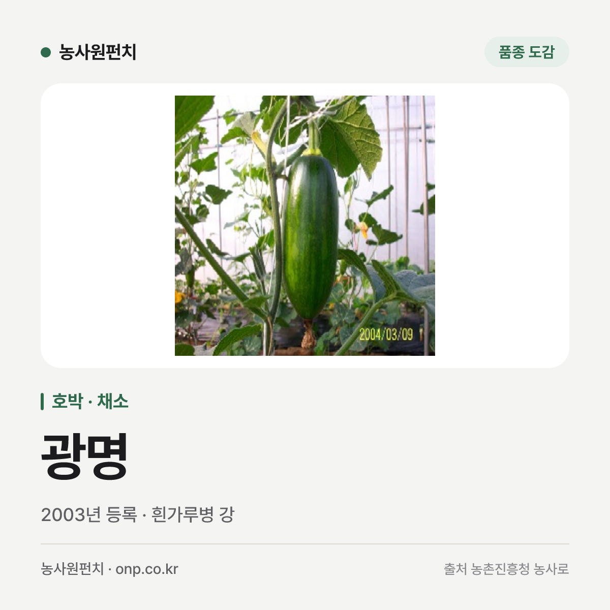 광명