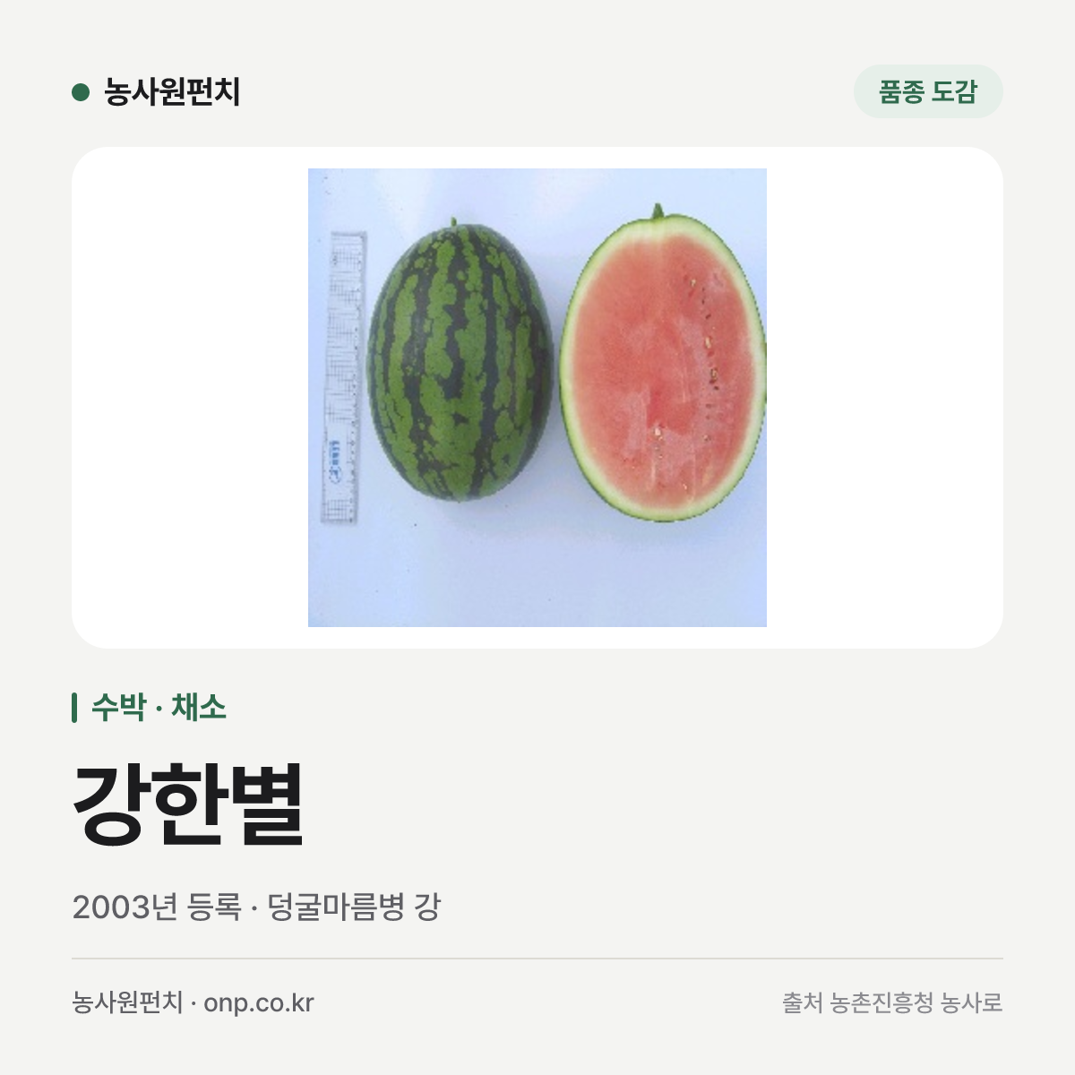 강한별