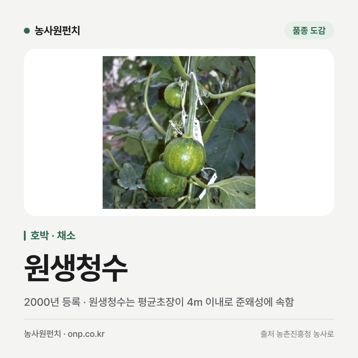 원생청수