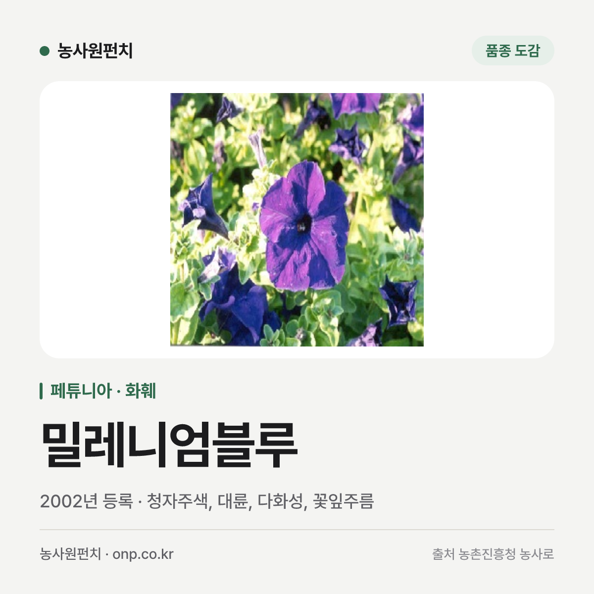 밀레니엄블루