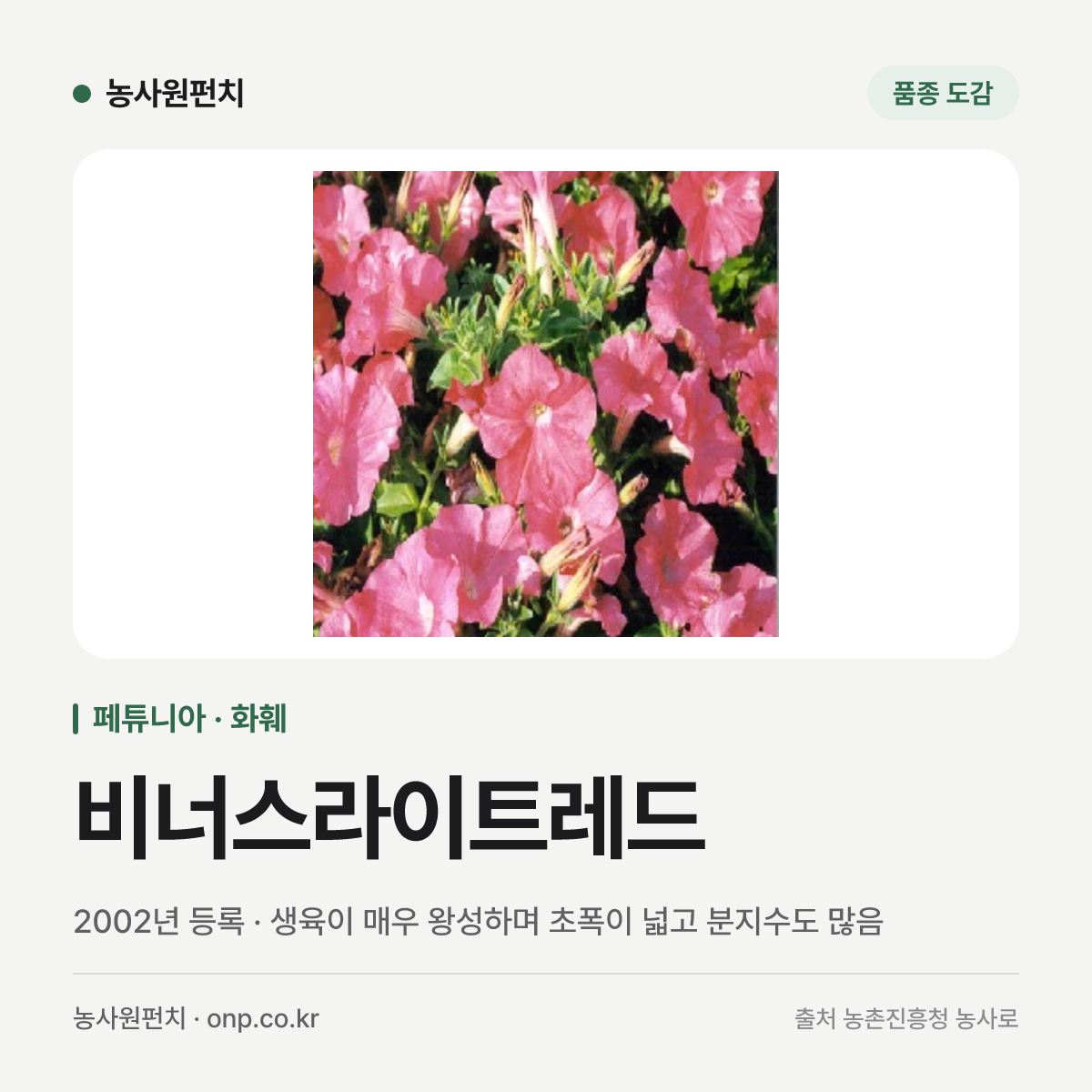비너스라이트레드