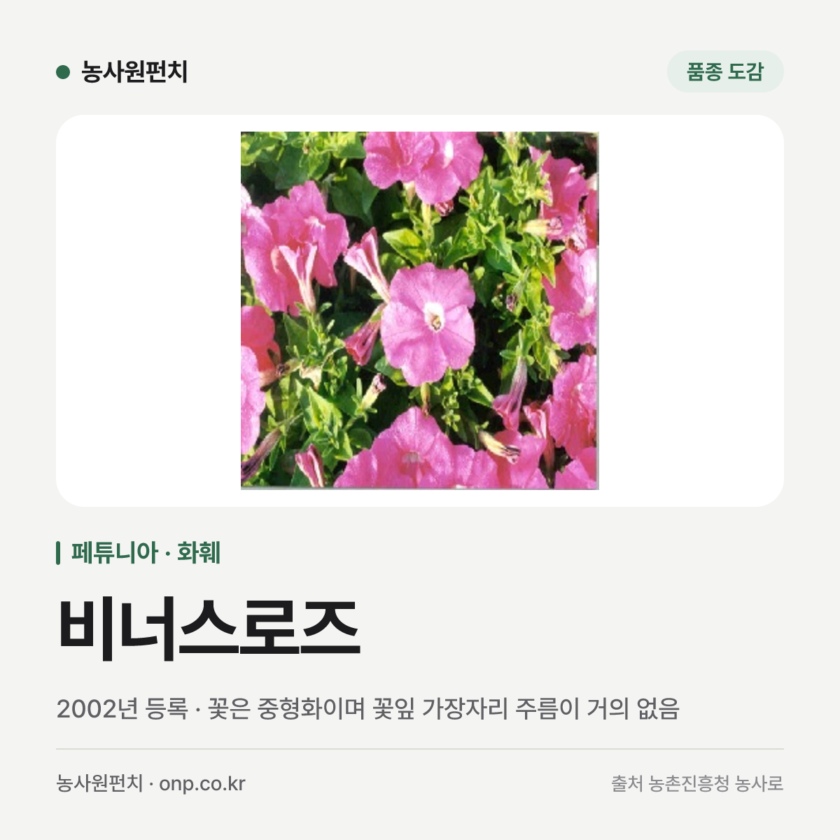 비너스로즈