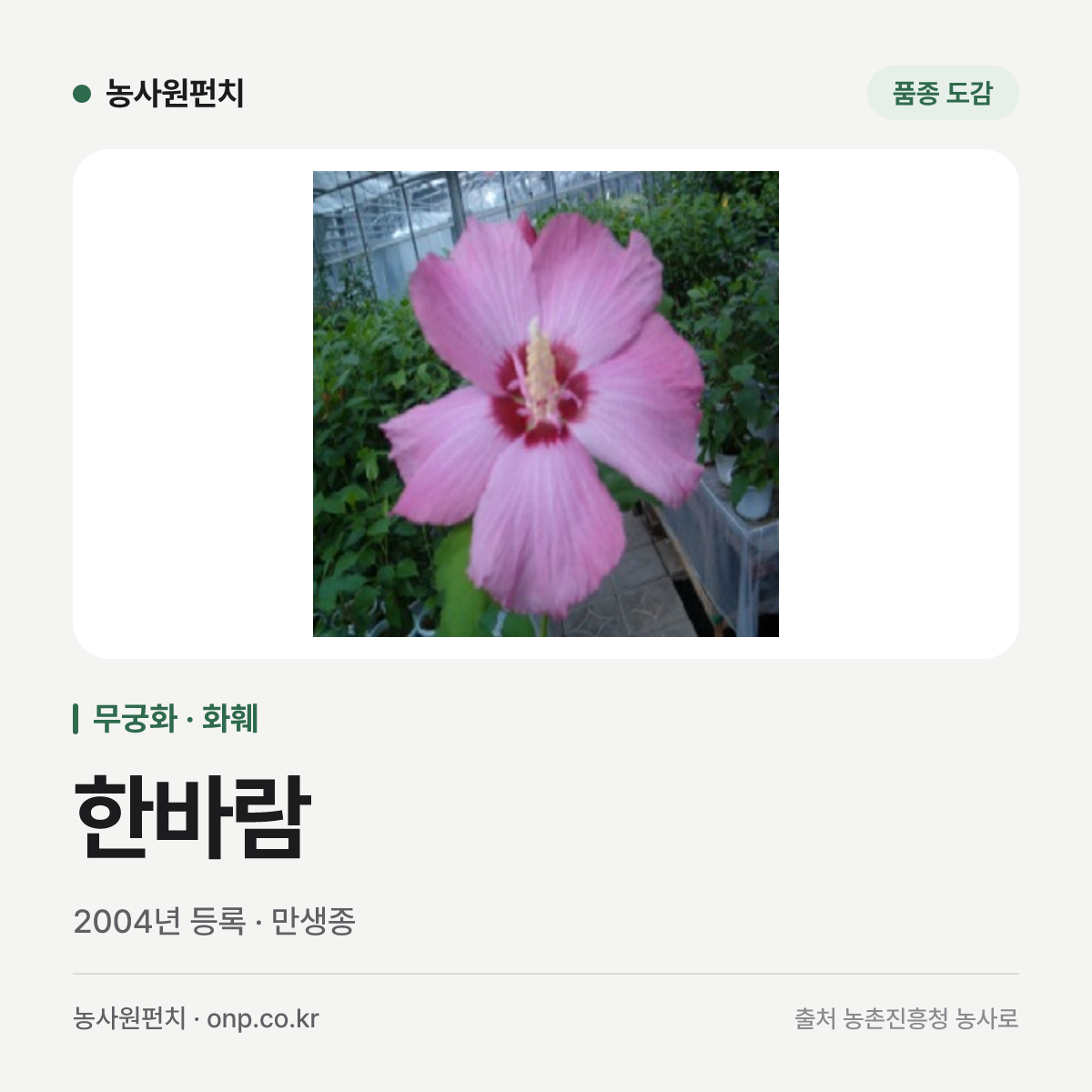 한바람