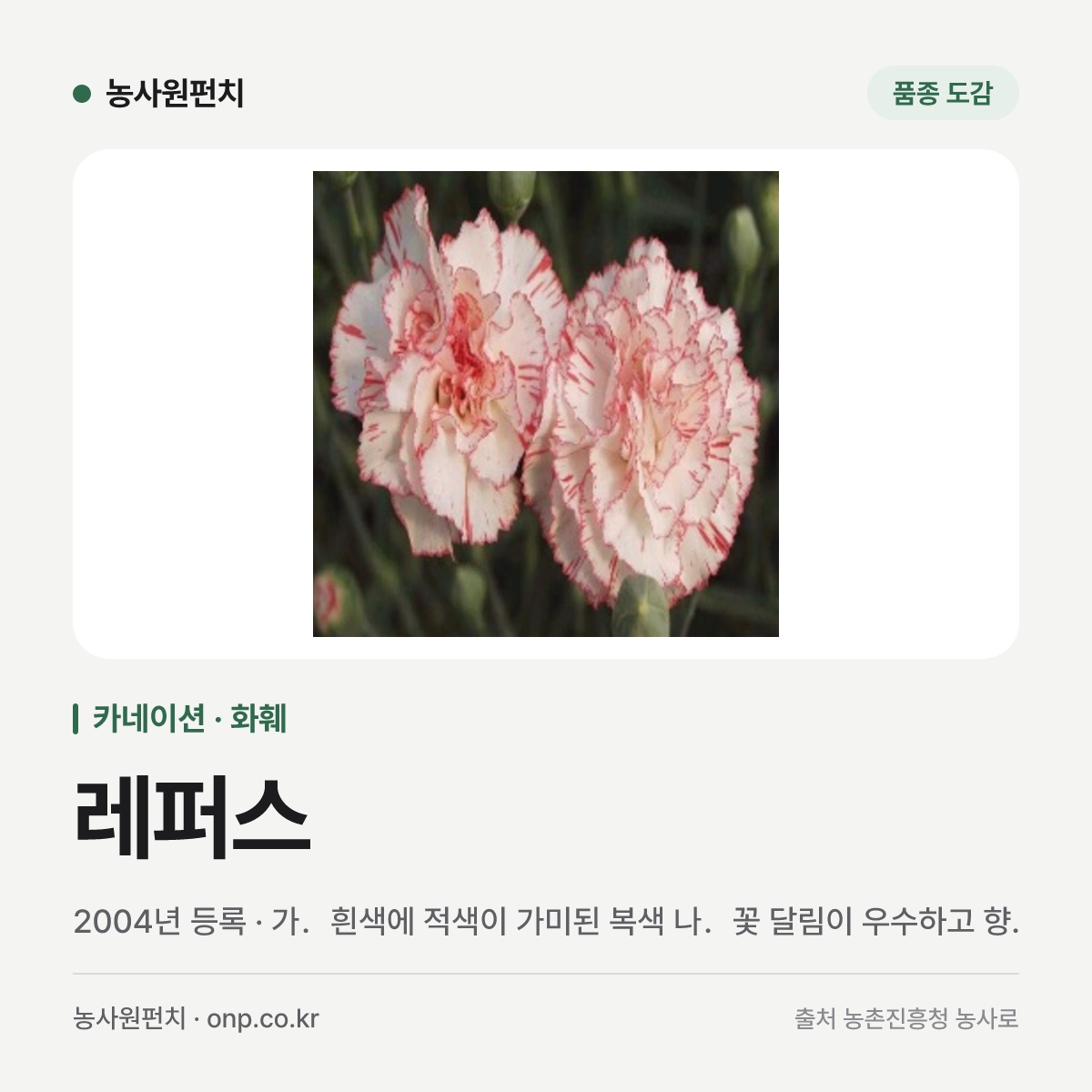 레퍼스