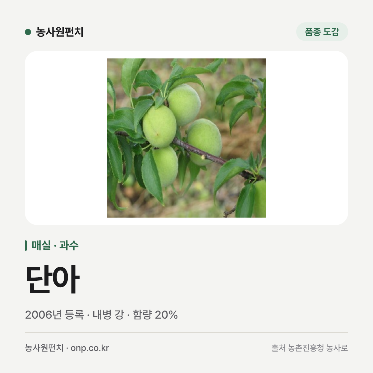 단아