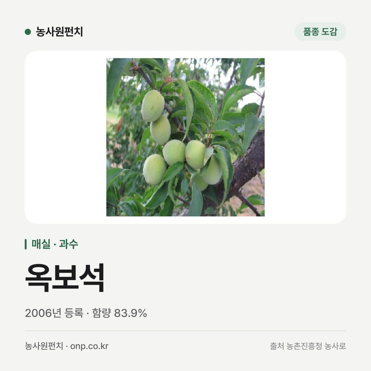 옥보석