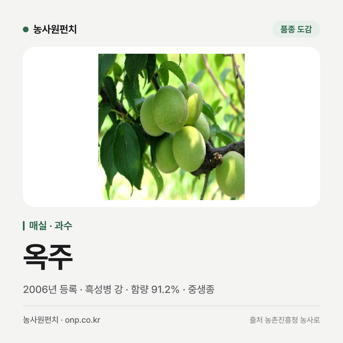 옥주