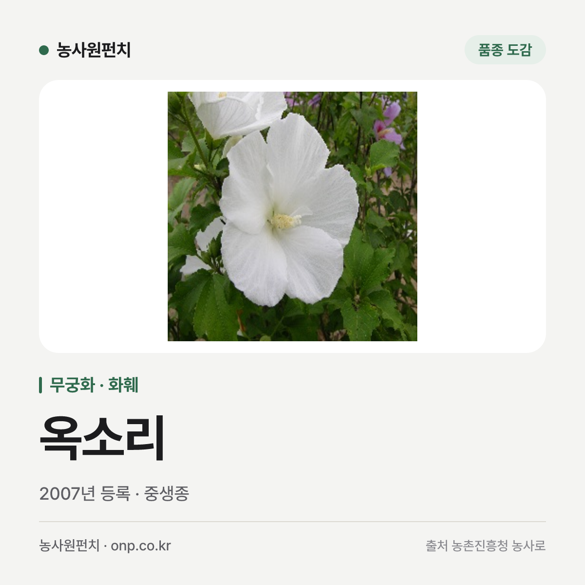 옥소리