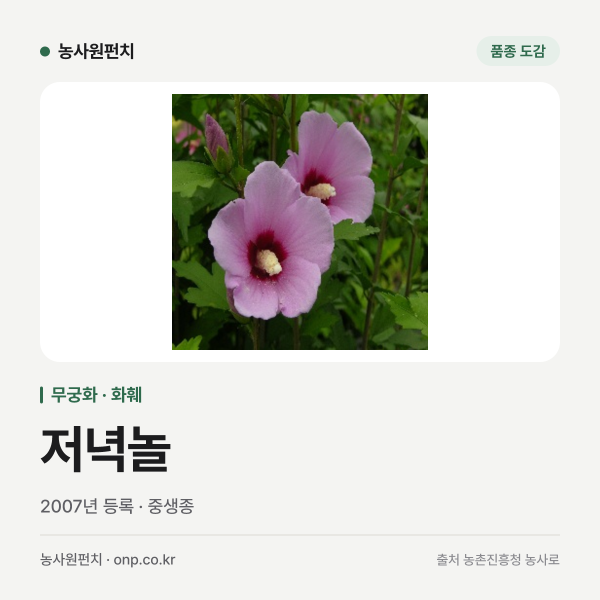저녁놀