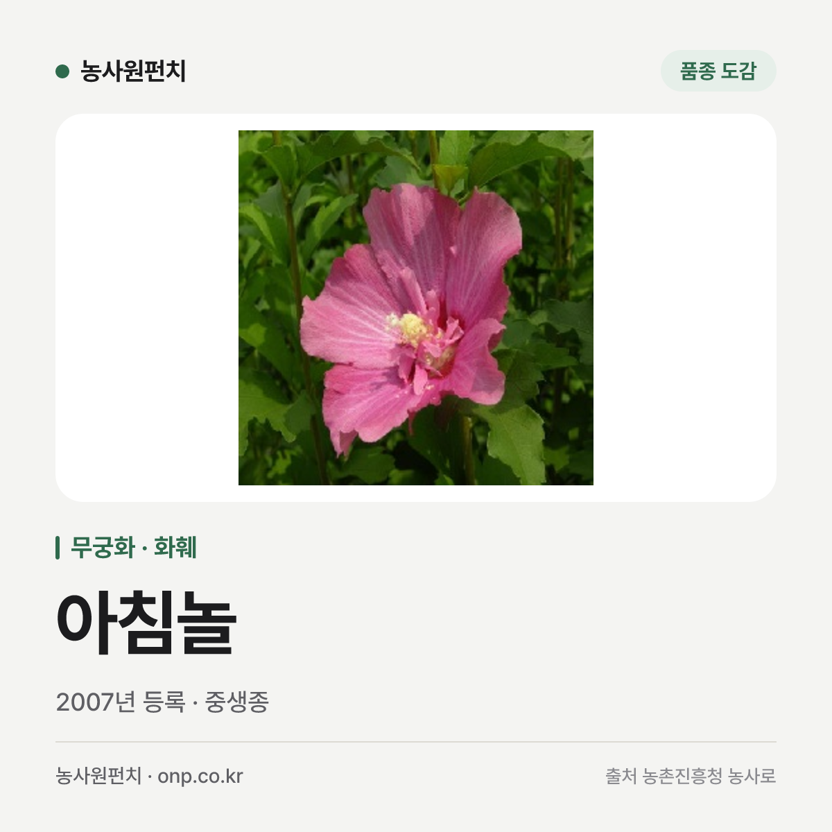 아침놀